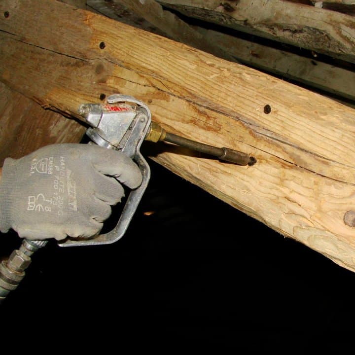 Wood borer injection treatment — specialized injection into timber